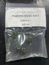 Load image into Gallery viewer, Marimo Moss Ball (small)
