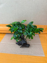 Load image into Gallery viewer, Mini Nana (Tie on Mini Wood)
